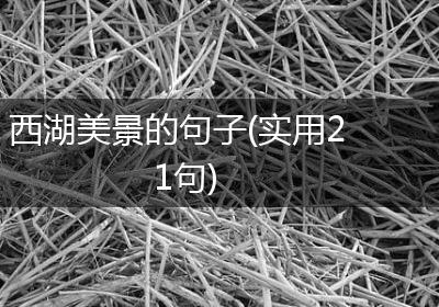 西湖美景的句子(实用21句)