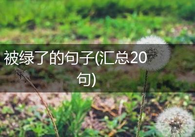 被绿了的句子(汇总20句)