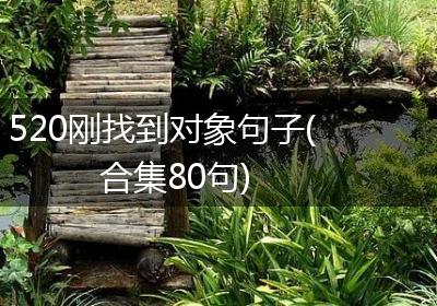 520刚找到对象句子(合集80句)