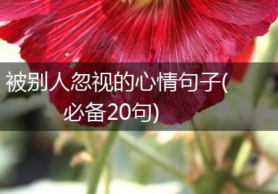 被别人忽视的心情句子(必备20句)