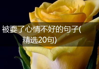 被耍了心情不好的句子(精选20句)