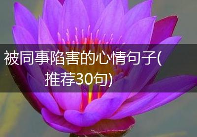 被同事陷害的心情句子(推荐30句)