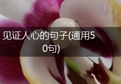 见证人心的句子(通用50句)