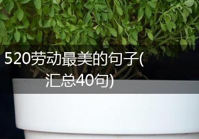 520劳动最美的句子(汇总40句)