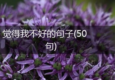 觉得我不好的句子(50句)
