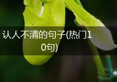认人不清的句子(热门10句)