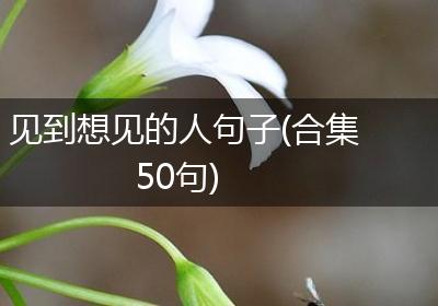 见到想见的人句子(合集50句)