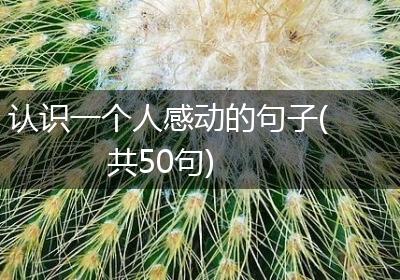 认识一个人感动的句子(共50句)