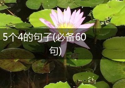 5个4的句子(必备60句)
