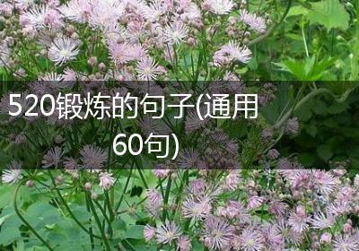 520锻炼的句子(通用60句)
