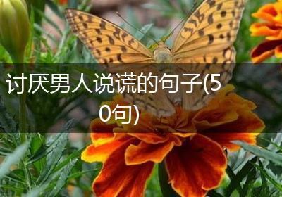 讨厌男人说谎的句子(50句)