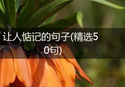 让人惦记的句子(精选50句)
