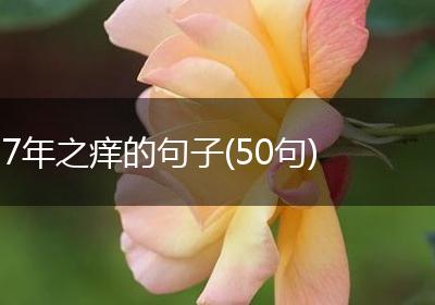 7年之痒的句子(50句)