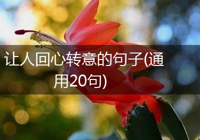 让人回心转意的句子(通用20句)