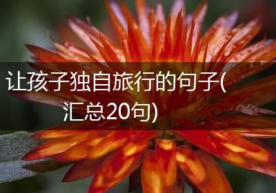 让孩子独自旅行的句子(汇总20句)