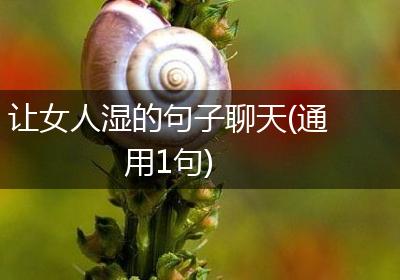 让女人湿的句子聊天(通用1句)