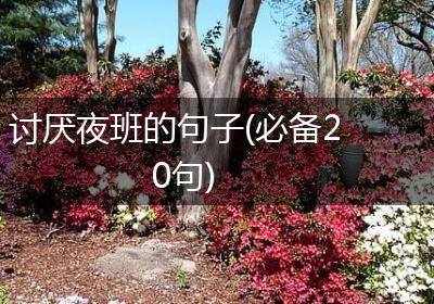 讨厌夜班的句子(必备20句)