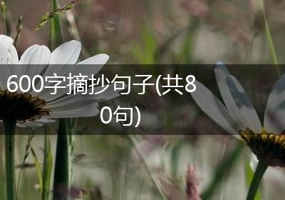 600字摘抄句子(共80句)