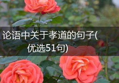 论语中关于孝道的句子(优选51句)