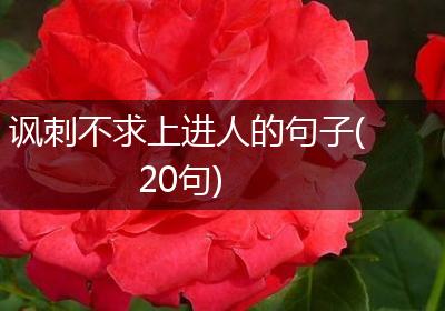 讽刺不求上进人的句子(20句)
