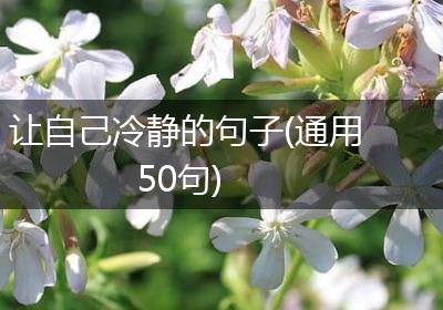 让自己冷静的句子(通用50句)