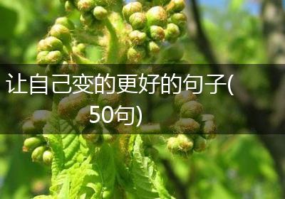 让自己变的更好的句子(50句)