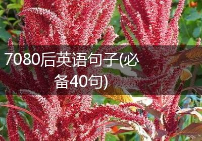 7080后英语句子(必备40句)