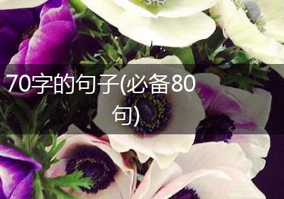 70字的句子(必备80句)