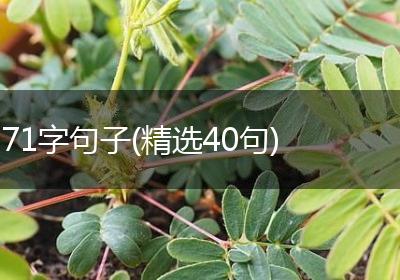 71字句子(精选40句)