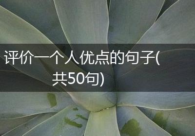 评价一个人优点的句子(共50句)
