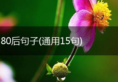 80后句子(通用15句)