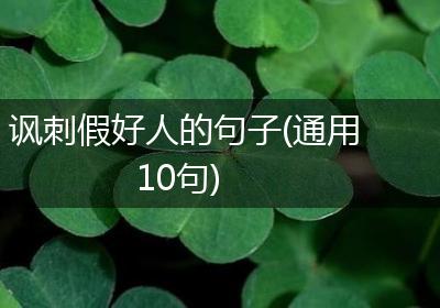 讽刺假好人的句子(通用10句)