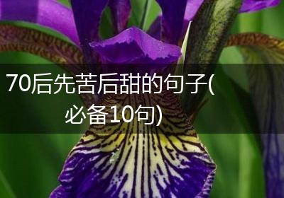 70后先苦后甜的句子(必备10句)