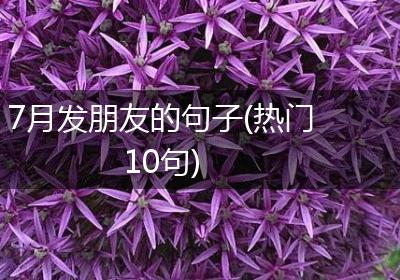 7月发朋友的句子(热门10句)