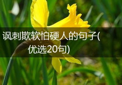 讽刺欺软怕硬人的句子(优选20句)