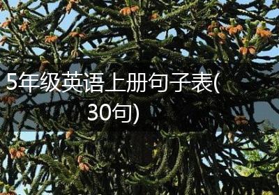 5年级英语上册句子表(30句)
