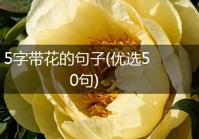 5字带花的句子(优选50句)