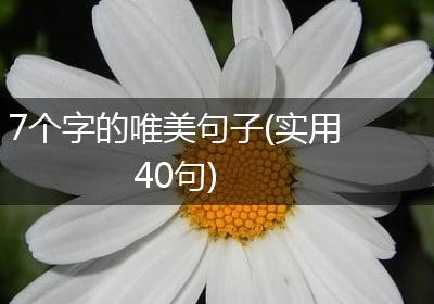 7个字的唯美句子(实用40句)
