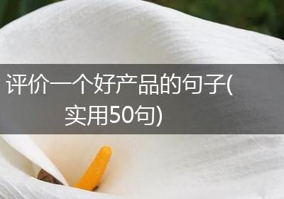 评价一个好产品的句子(实用50句)