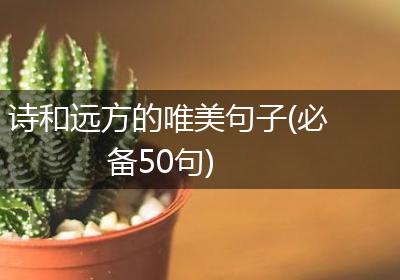 诗和远方的唯美句子(必备50句)