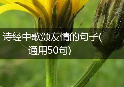 诗经中歌颂友情的句子(通用50句)