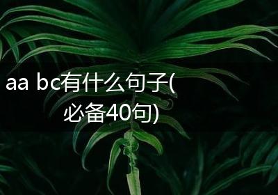aa bc有什么句子(必备40句)