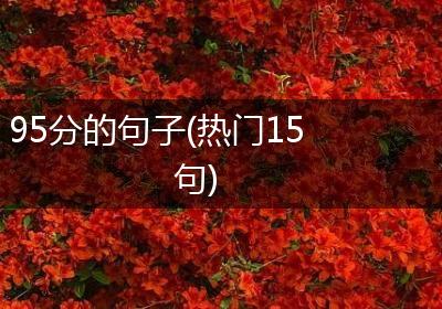 95分的句子(热门15句)