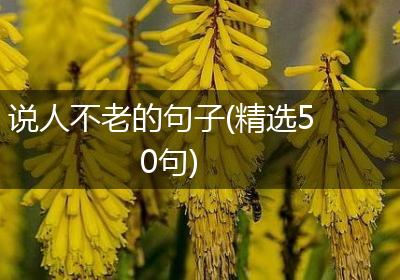 说人不老的句子(精选50句)