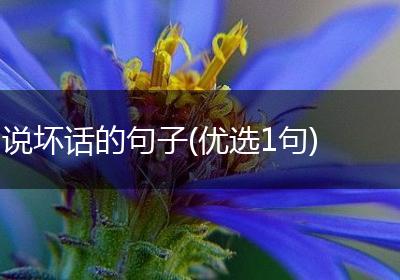 说坏话的句子(优选1句)