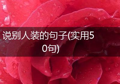 说别人装的句子(实用50句)