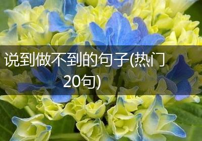 说到做不到的句子(热门20句)