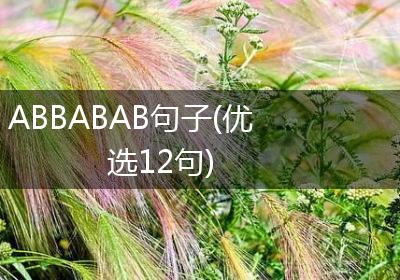 ABBABAB句子(优选12句)