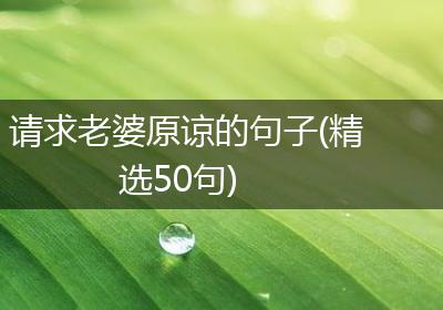 请求老婆原谅的句子(精选50句)