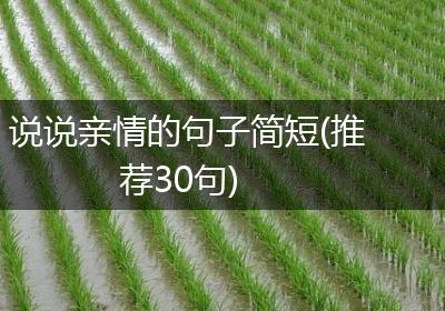 说说亲情的句子简短(推荐30句)